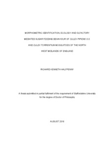 Morphometric Identification Ecology And Olfactory Mediated Sugar